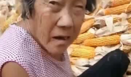 干老太太视频,揭秘老年生活点滴